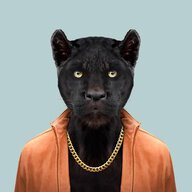 panther2005