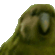 ninjahgost