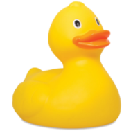Pytaek