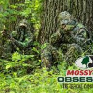 mossy