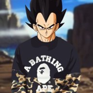 Mr.Vegeta