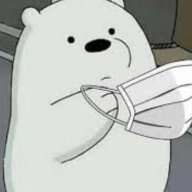 Polar Lofy