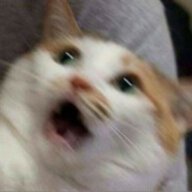 Awmowar