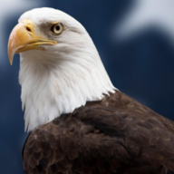 DaEagle