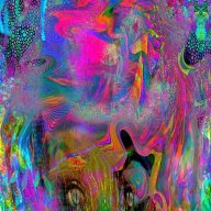 hidd4n