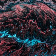 whoiscaimeo