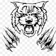 CatScratch