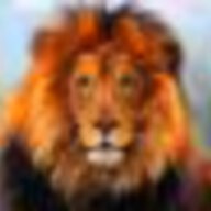 theasiaticlion