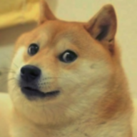 Shibe