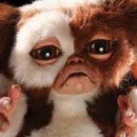 Gizmo