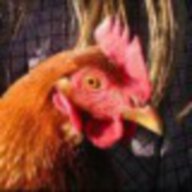 Chick3nman
