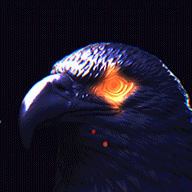 ParaEagle