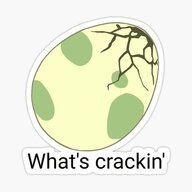 Whats Cracking