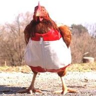 chickenbooyah