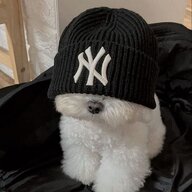 kowy