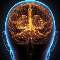 HealthyBrain