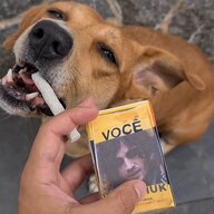 LuizFCG
