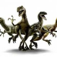 raptor