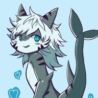 shorkboi