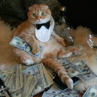 stezzy