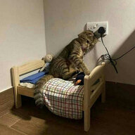anonimitys