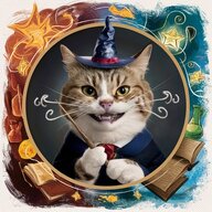 WittyWhiskers