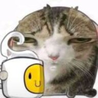 kittys