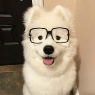 chaosalt