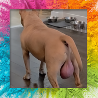 invaliduser