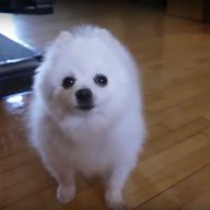 Hynk