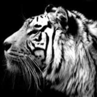 mohadmad
