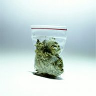Dim3Bag7667