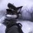 UnityFox