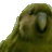 ninjahgost