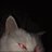 Beete