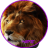 Majestic12