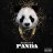 FGTPanda