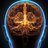 HealthyBrain