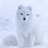 Arctic Fox