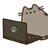 pusheen