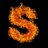snake31
