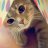 Pinkycat