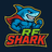 RFSHARK