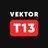 Vektor T13
