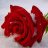 mohammadreza