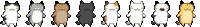 cats-divider.gif