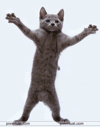 graciosas_24351.gif