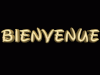 Bienvenue-qui-se-D-sintegre.gif