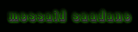 messaid-saadanr-en-vert.gif